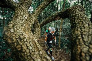 BIB: 
                            <button type="button" onclick="openModal(25393155)" class="btn btn-primary btn-sm float-right btn-popup" data-toggle="modal" data-target=".modal-high-quality">
                        <i class="fas fa-shopping-cart"></i> Add to Cart
                    </button>
                                            <button type="button" onclick="isThisMe(25393155, true)" class="btn btn-success btn-sm float-right btn-popup btn-isme hidden" data-toggle="tooltip" data-placement="bottom" title="นี่คือรูปของคุณใช่ไหม คลิกที่นี่เพื่อเอาเข้าอัลบั้ม">
                        <i class="fas fa-plus"></i> Add to album
                    </button>
                    <button type="button" onclick="isThisMe(25393155, false)" class="btn btn-warning btn-sm float-right btn-popup btn-isnotme hidden">
                        <i class="fas fa-ban"></i> Remove from album
                    </button>